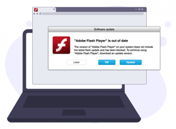 web browser with flash player